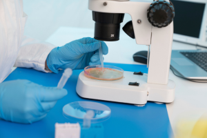 Untitled design - 2025-09-11T085713.660